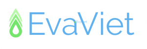 https://evaviet.vn/wp-content/uploads/2020/03/Evaviet_logo-300x100.png