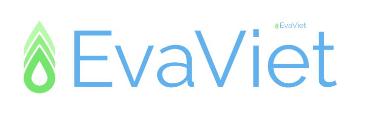 https://evaviet.vn/wp-content/uploads/2020/03/Evaviet_logo-300x100.png