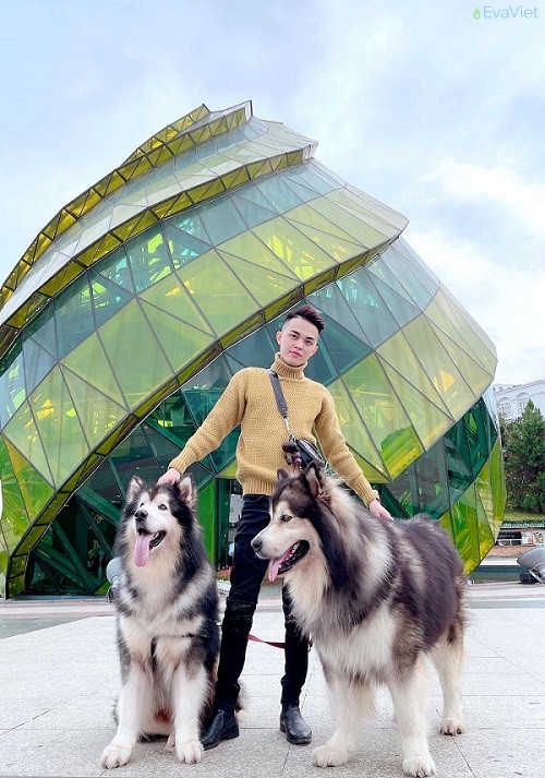 Phong cách đời thường của chàng trai Hồng Sơn